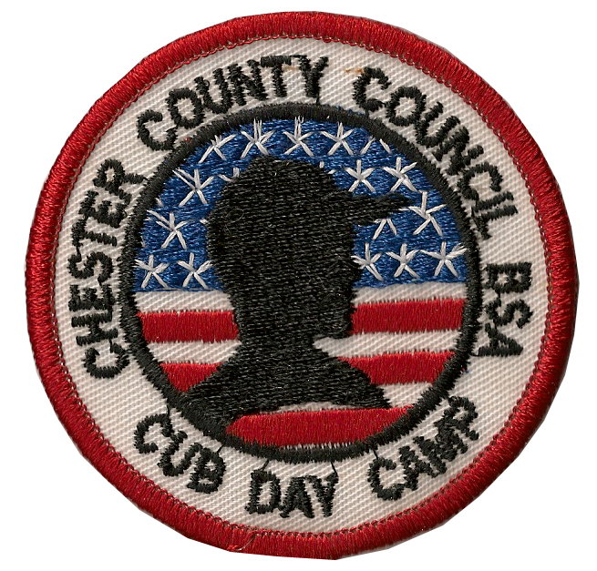 Cub Scout Day Camp Patch