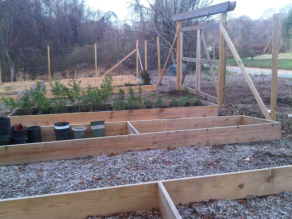 The Nursery Beds