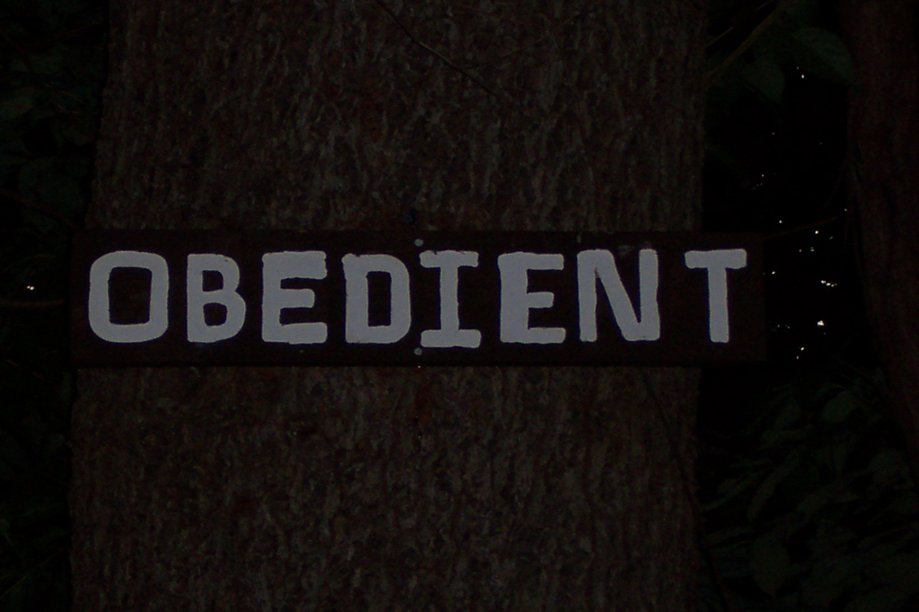 Obedient Sign