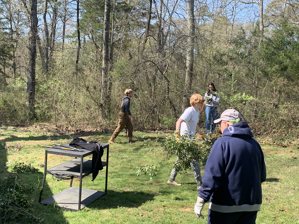 Brush Clearing