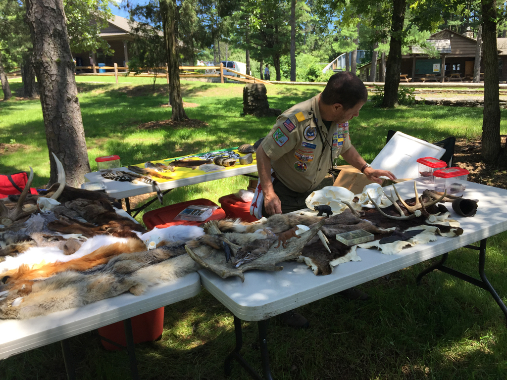 Wildlife Demo