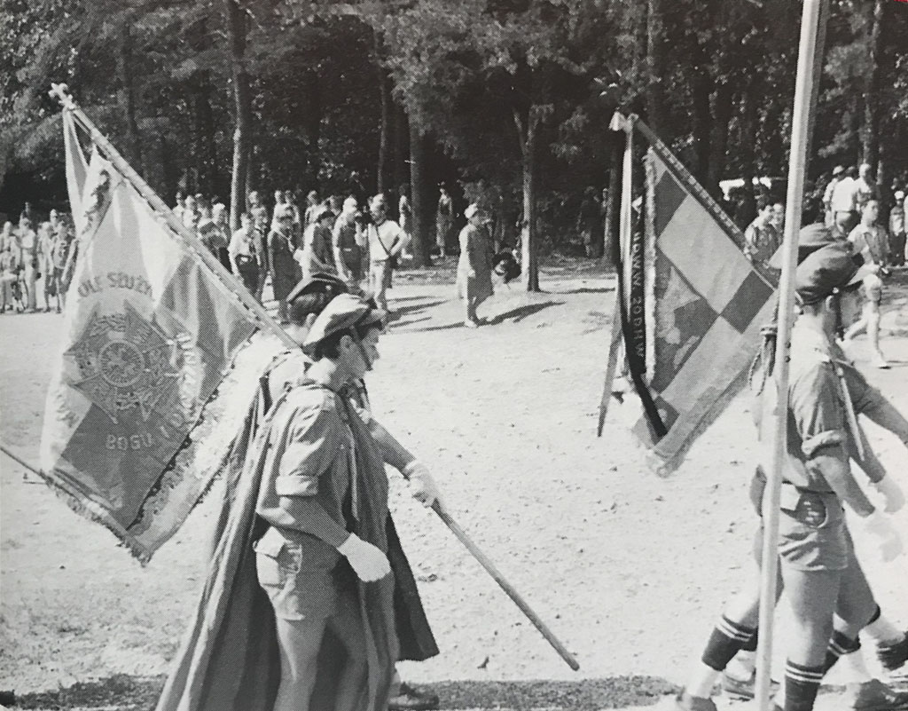 The Polish Flags