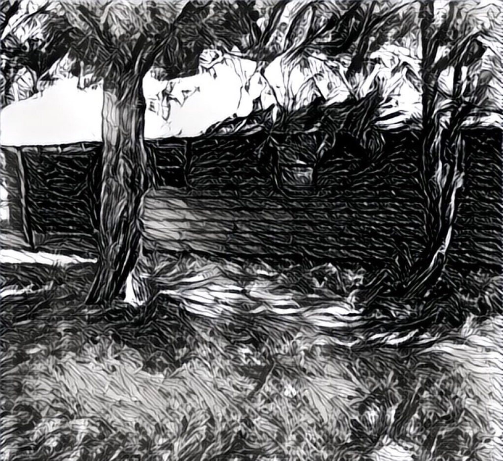 ‘Where Whispers Tread’