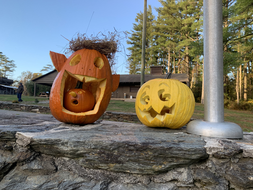 Artistic Pumpkins